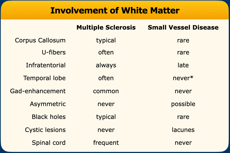 * Temporal lobe involvement is seen in CADASIL