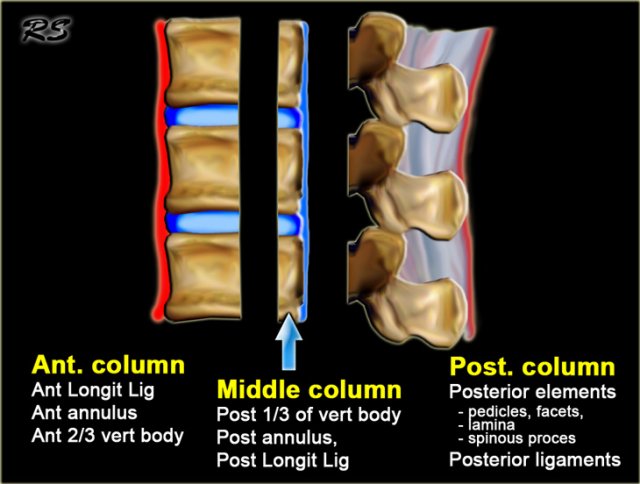 Three column theory of Denis